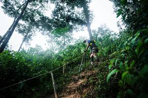 BIB: 
                            <button type="button" onclick="openModal(26203593)" class="btn btn-primary btn-sm float-right btn-popup" data-toggle="modal" data-target=".modal-high-quality">
                        <i class="fas fa-shopping-cart"></i> Add to Cart
                    </button>
                                            <button type="button" onclick="isThisMe(26203593, true)" class="btn btn-success btn-sm float-right btn-popup btn-isme hidden" data-toggle="tooltip" data-placement="bottom" title="นี่คือรูปของคุณใช่ไหม คลิกที่นี่เพื่อเอาเข้าอัลบั้ม">
                        <i class="fas fa-plus"></i> Add to album
                    </button>
                    <button type="button" onclick="isThisMe(26203593, false)" class="btn btn-warning btn-sm float-right btn-popup btn-isnotme hidden">
                        <i class="fas fa-ban"></i> Remove from album
                    </button>